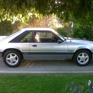 Meet your Posher, Lory